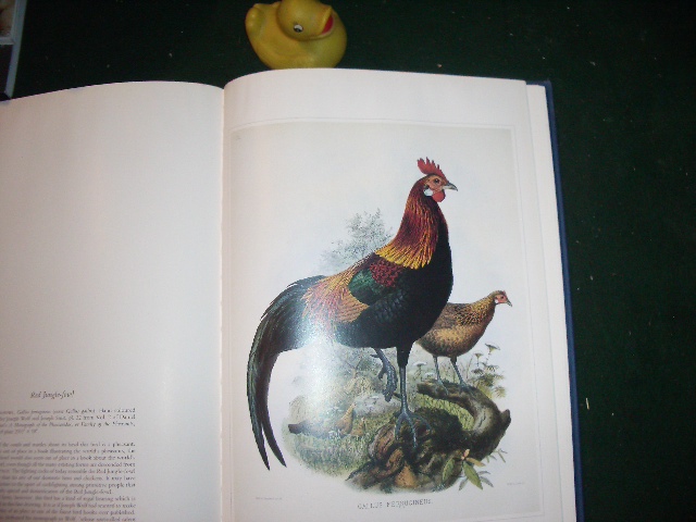Birds: Classic Natural History Prints by (1st edition) S. Peter Dance (ed). Particular Books, 2010 - Image 7
