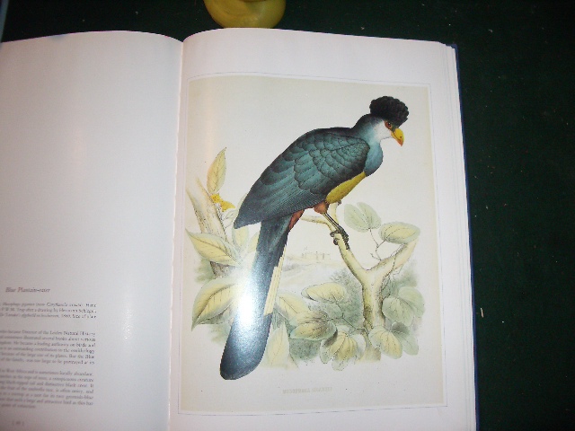 Birds: Classic Natural History Prints by (1st edition) S. Peter Dance (ed). Particular Books, 2010 - Image 6