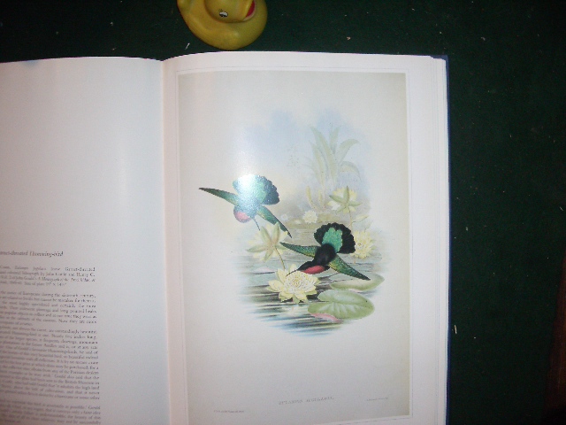 Birds: Classic Natural History Prints by (1st edition) S. Peter Dance (ed). Particular Books, 2010 - Image 5