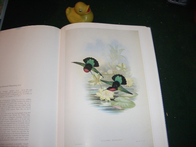 Birds: Classic Natural History Prints by (1st edition) S. Peter Dance (ed). Particular Books, 2010 - Image 4