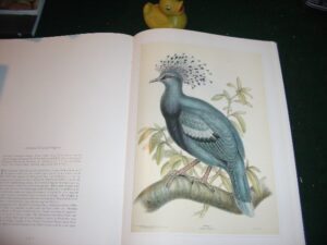 Birds: Classic Natural History Prints by (1st edition) S. Peter Dance (ed). Particular Books, 2010