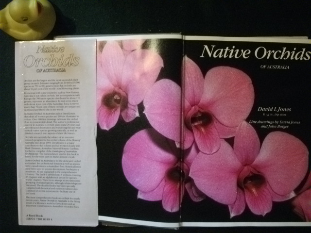 Native Orchids Of Australia (1st edition) by David L. Jones. Illustrated by David Jones and John Bolger. Reed Books, 1988 - Image 7