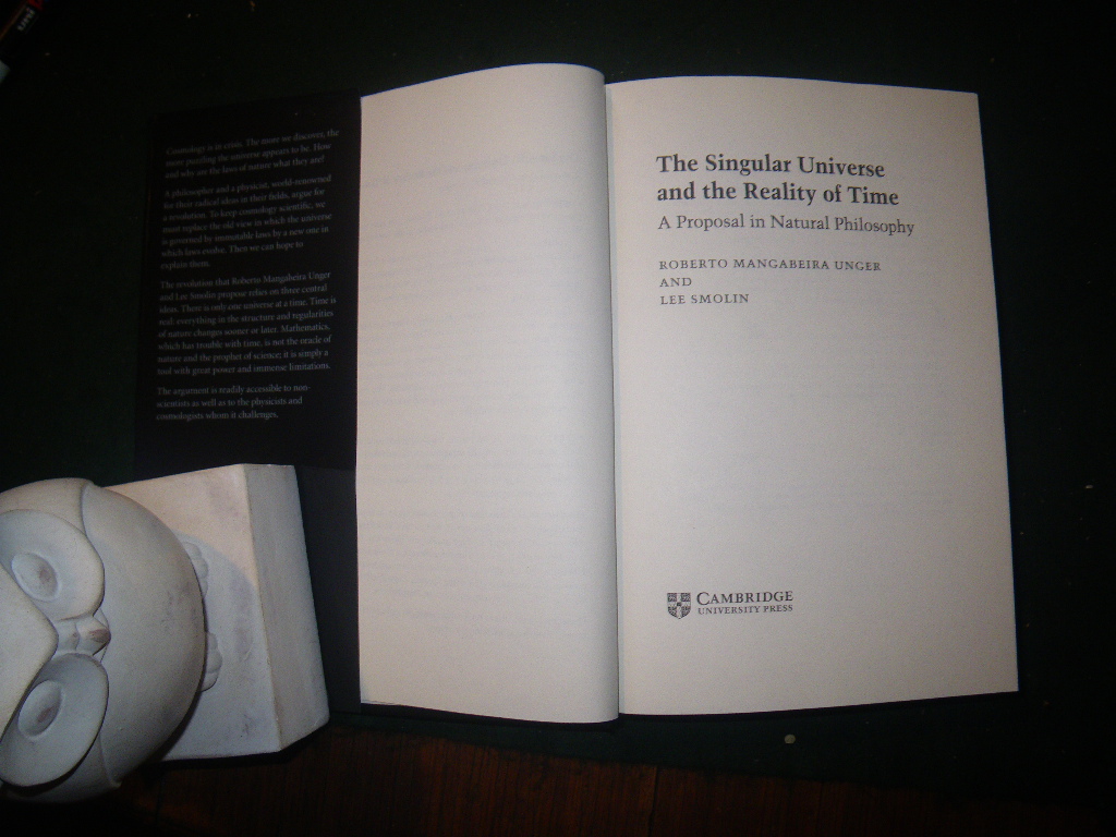 The Singular Universe And The Reality Of Time by Roberto Mangabeira Unger and Lee Smolin. Cambridge University Press, 2014 - Image 3