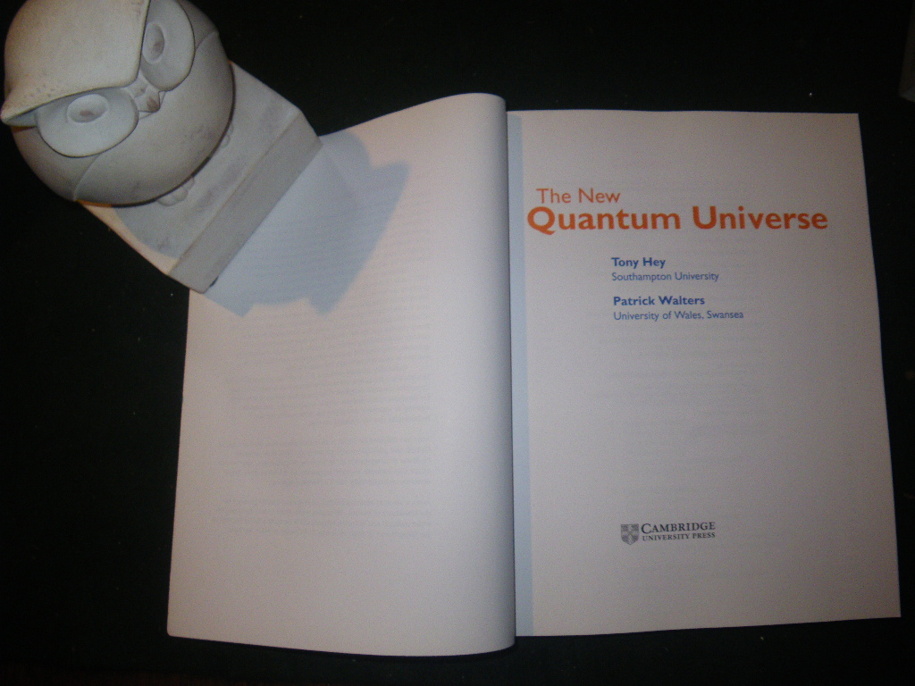 The New Quantum Universe (1st edition) by Tony Hey & Patrick Walters. Cambridge University Press, 2003 - Image 4