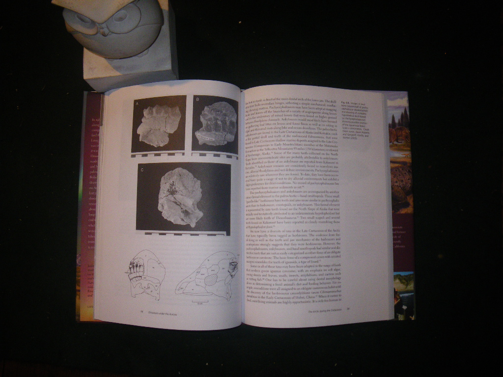 Dinosaurs Under The Aurora (1st edition) by Roland A. Gangloff. Indiana University Press, 2012 - Image 4