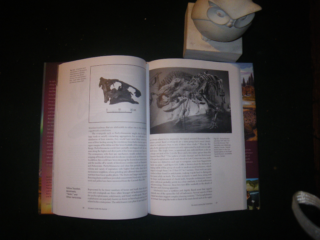 Dinosaurs Under The Aurora (1st edition) by Roland A. Gangloff. Indiana University Press, 2012 - Image 3