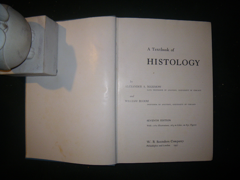 A Textbook Of Histology by Alexander A. Maximow and William Bloom. W. B. Saunders Company, 1957 - Image 5