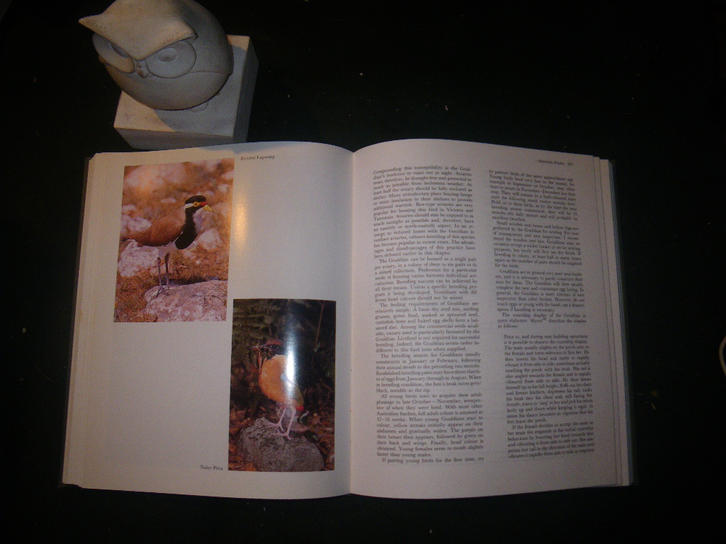 Aviculture In Australia: Keeping And Breeding Aviary Birds by Mark Shephard. Reed Books, 1994 - Image 3