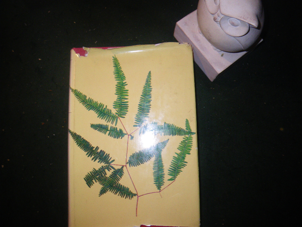 A Revised Flora Of Malaya Vol II: Ferns Of Malaya. Singapore Government Printing Office, 1968 - Image 2