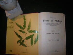 A Revised Flora Of Malaya Vol II: Ferns Of Malaya. Singapore Government Printing Office, 1968