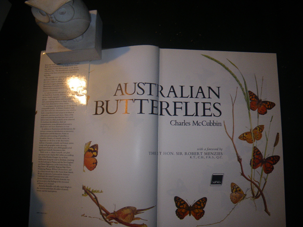 Australian Butterflies by Charles McCubbin. Savvas Publishing, 1985 - Image 7