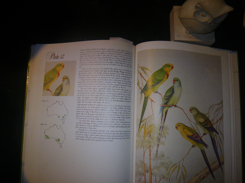 Australian Parrots And Cockatoos - Paintings by Neville Cayley. Text by J. H. Prince. Popular Books, 1987 - Image 5