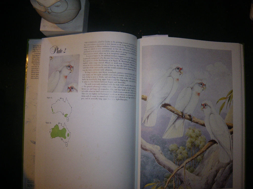 Australian Parrots And Cockatoos - Paintings by Neville Cayley. Text by J. H. Prince. Popular Books, 1987 - Image 3