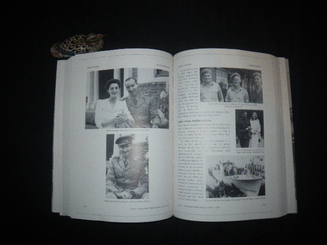 Against The Odds: Risbys - Tasmanian Timber Pioneers 1826-1995 (1st editions) by Alex Graeme-Evans. Tasbook Publishers, 1995 - Image 3